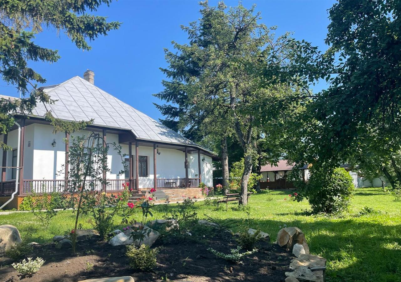 Casa Humulesti, Fii Vecinul Lui Ion Creanga Villa Târgu Neamț Buitenkant foto